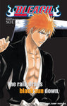 Bleach SOULs. Official Character Book 1