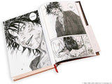 Vagabond Definitive Edition 01