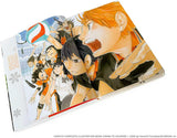 The Art of Haikyu!!: Endings and Beginnings