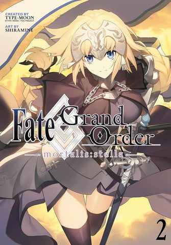 Fate/Grand Order -mortalis:stella- 2