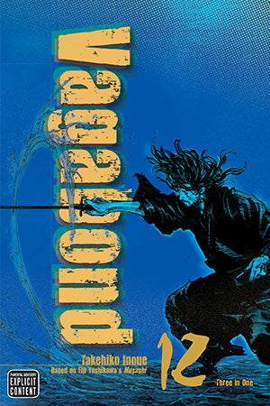 Vagabond 12 (VIZBIG Edition)