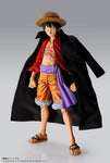 One Piece Imagination Works Monkey D. Luffy