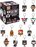 One of Batman TAS Pocket Pop! Key Chain Blind Bag