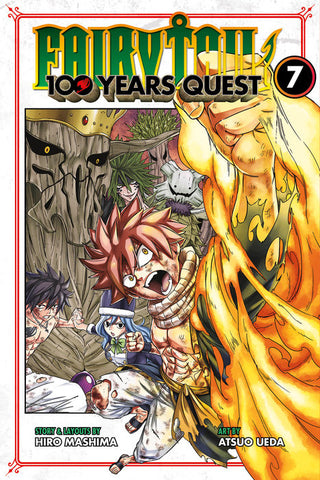 Fairy Tail 100 Years Quest Vol 07