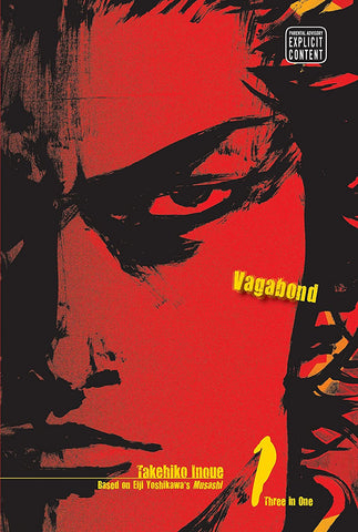 Vagabond 01 (VIZBIG Edition)