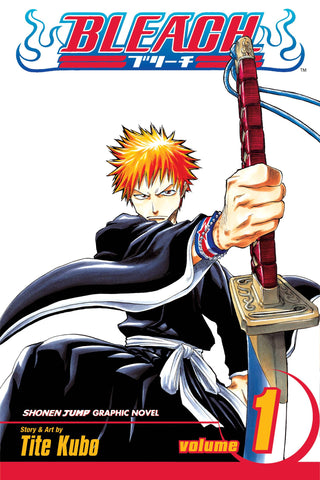 Bleach Vol 01