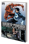 Daredevil vs Punisher: Means and Ends