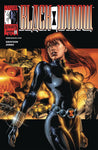 Black Widow By Grayson and Jones #1