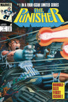 THE PUNISHER #1