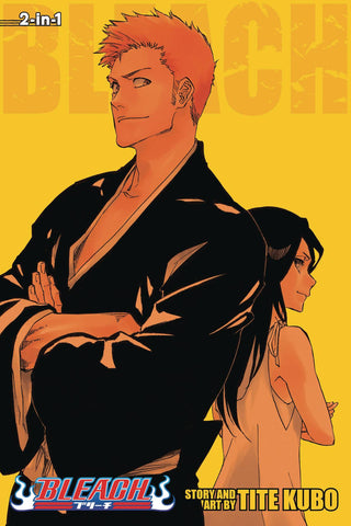 Bleach 2In1 Vol 25