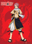 Fairy Tail - Natsu Single Shot Wall Scroll