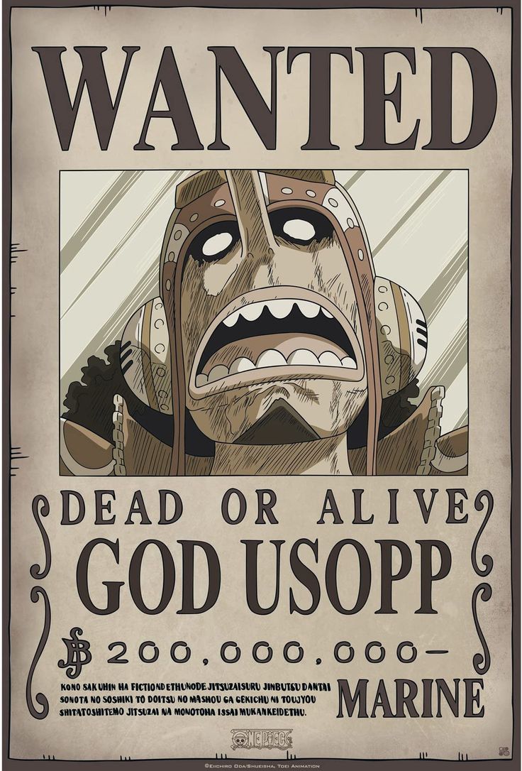 ONE PIECE - Wanted Poster: God Usopp New World – The SOOG