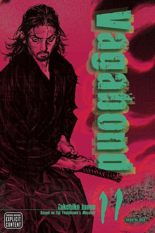 Vagabond 11 (VIZBIG Edition)