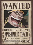 ONE PIECE - Wanted Poster: Blackbeard